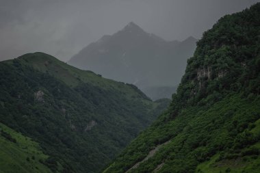 Beyaz dağ ve vadi, Gudauri, Gürcistan