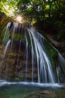 Dağ nehri ve orman manzarası. Yeşil ormanın ortasındaki sakin şelale manzarası