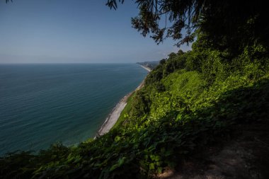 ağaçların dalları ile Sahil görünümü