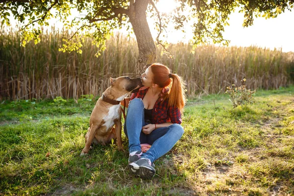Rothaarige fröhliche junge Mädchen streichelt ihren Hund im Park — Stockfoto