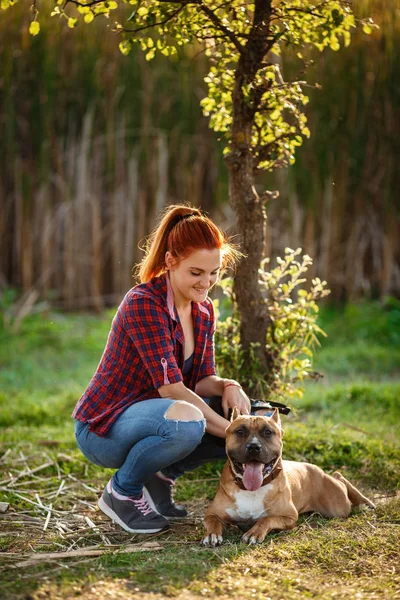 Pelirroja joven alegre acariciando a su perro en el parque —  Fotos de Stock