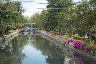 Bangkok, Tayland, güzel mor çiçekler kanal boyunca nehirde