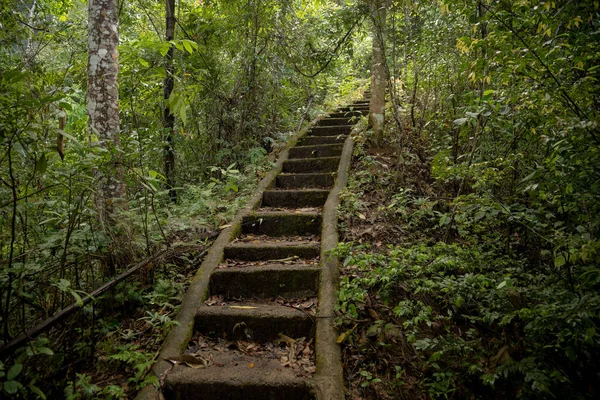 Hermosa escalera antigua en la selva del sudeste asiático — Foto de Stock