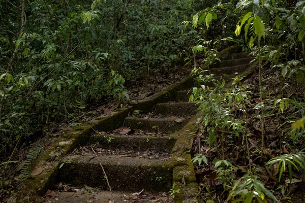 Hermosa escalera antigua en la selva del sudeste asiático — Foto de Stock