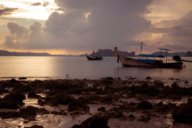 Tropikal plaj, uzun kuyruk tekneleri, altın günbatımı, Tayland Körfezi, Krabi,