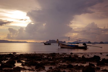 Tropikal plaj, uzun kuyruk tekneleri, altın günbatımı, Tayland Körfezi, Krabi,