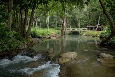 Tayland fil çiftlikte yeşil bahçe arasında güzel nehir.