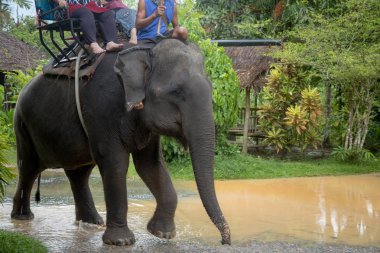 Asya doğal manzara.