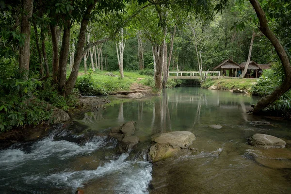 Piękna rzeka wśród zielonego ogrodu na farmie słoni w Tajlandii. — Zdjęcie stockowe