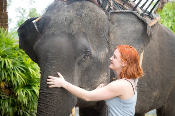 Κοκκινομάλλα κορίτσι χαϊδεύοντας έναν ελέφαντα. Μετά το περπάτημα μέσα από το — Φωτογραφία Αρχείου