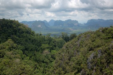 Tiger Cave Temple, Wat Tham Suea, Krabi Bölgesi, Tayland üst