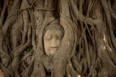 Eski güzel Tay tapınak wat Mahathat, Ayutthaya Historical Park, Ayutthaya, Tayland