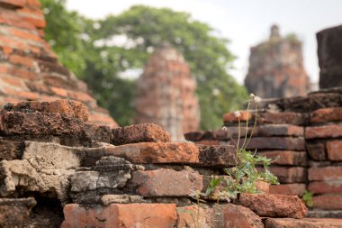 Eski güzel Tay tapınak wat Mahathat, Ayutthaya Historical Park, Ayutthaya, Tayland