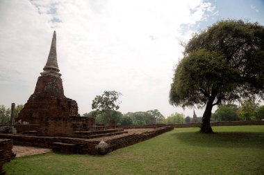 Eski güzel Tay tapınak wat Mahathat, Ayutthaya Historical Park, Ayutthaya, Tayland