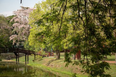 Eski güzel Tay tapınak wat Mahathat, Ayutthaya Historical Park, Ayutthaya, Tayland