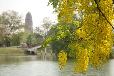 Eski güzel Tay tapınak wat Mahathat, Ayutthaya Historical Park, Ayutthaya, Tayland
