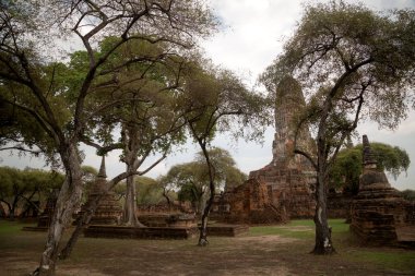 Eski güzel Tay tapınak wat Mahathat, Ayutthaya Historical Park, Ayutthaya, Tayland