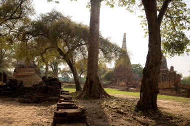 Eski güzel Tay tapınak wat Mahathat, Ayutthaya Historical Park, Ayutthaya, Tayland