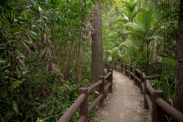 Piscina Esmeralda, Parque Nacional Yosemite, Krabi, Tailandia, Bosque selvático de camino de madera — Foto de Stock