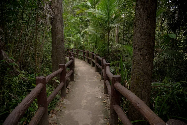 Изумрудный бассейн, Национальный парк Йосэмит, Обиби, Таиланд, тропа Вудена в джунглях — стоковое фото