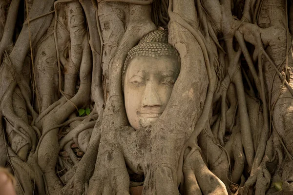Antiguo Templo Tailandés Hermoso wat Mahathat, Parque Histórico de Ayutthaya, Ayutthaya, Tailandia — Foto de Stock