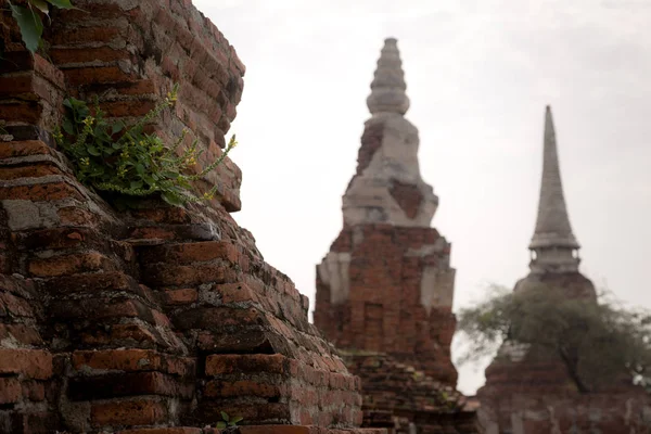 Old Beautiful Thai Temple wat Mahathat, Ayutthaya Historical Park, Ayutthaya, Thaïlande — Photo