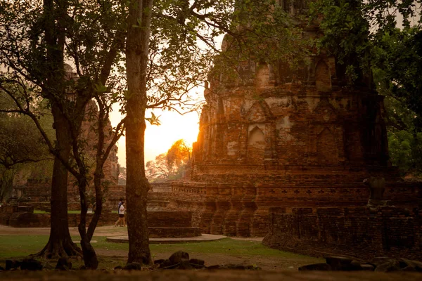 Old Beautiful Thai Temple wat Mahathat, Ayutthaya Historical Park, Ayutthaya, Thailand — Stock Photo, Image