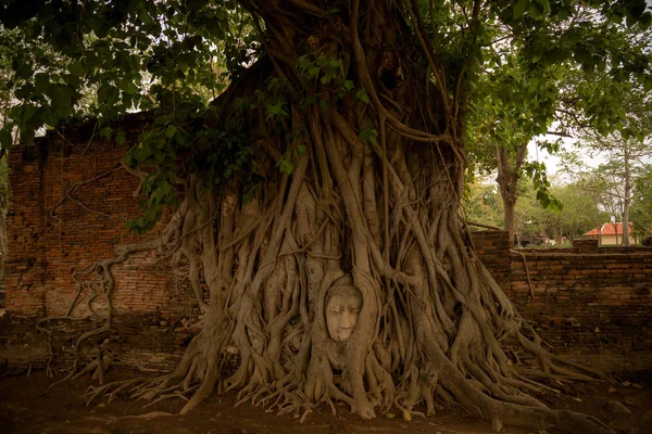Antiguo Templo Tailandés Hermoso wat Mahathat, Parque Histórico de Ayutthaya, Ayutthaya, Tailandia — Foto de Stock
