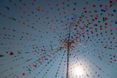 Tay kutlama festivalinde çok renkli üçgen dua bayrakları