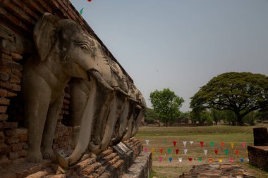 Sukhothai tarihi parkında fil heykelleri, Tayland.