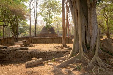 Si Satchanalai tarihi Park Tayland tarihi Parkı