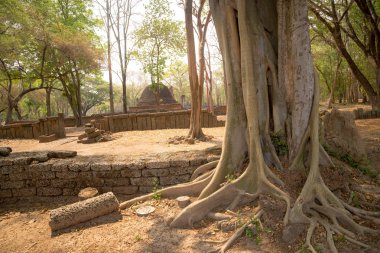 Si Satchanalai tarihi Park Tayland tarihi Parkı