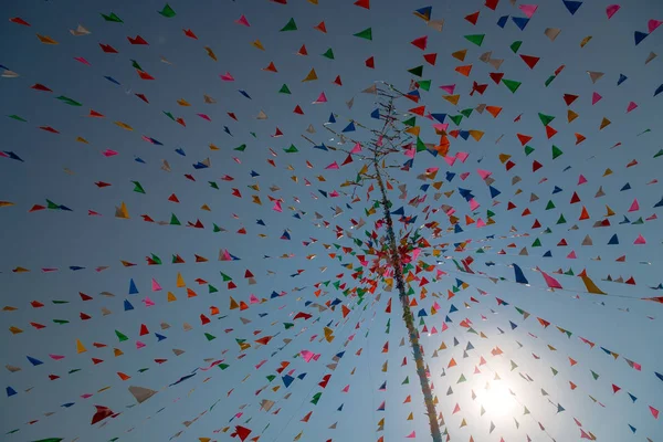 Tay kutlama festivalinde çok renkli üçgen dua bayrakları