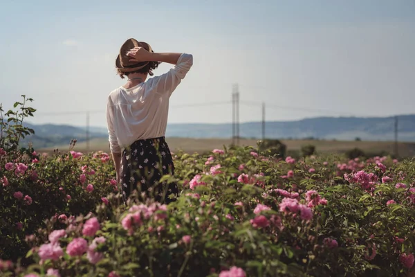 Çiçek serisi, yaz kadını için boş zaman Provence