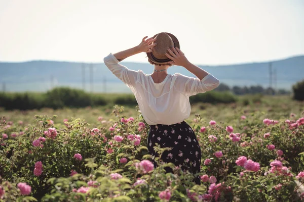 Çiçek serisi, yaz kadını için boş zaman Provence