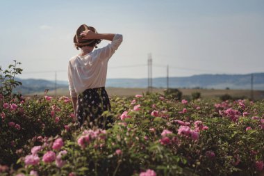 Çiçek serisi, yaz kadını için boş zaman Provence