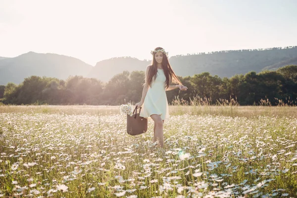 Bella ragazza in campo margherita. Tramonto estivo — Foto Stock