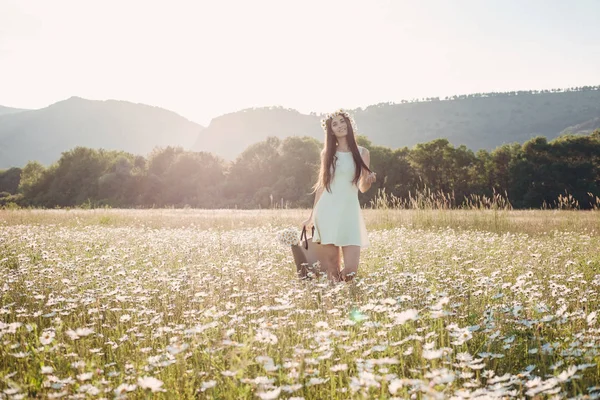 Menina bonita no campo da margarida. Pôr do sol — Fotografia de Stock