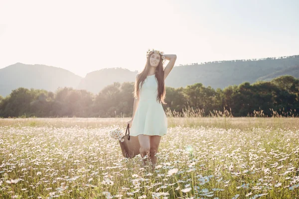 Bella ragazza in campo margherita. Tramonto estivo — Foto Stock