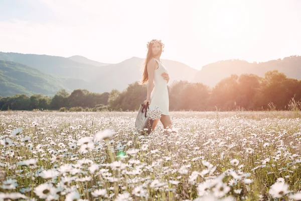 Bella ragazza in campo margherita. Tramonto estivo — Foto Stock