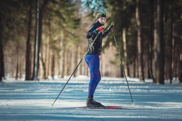 Cross-country skiing woman doing classic nordic cross country sk