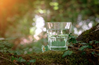 Bir bardak temiz su, doğada. Sağlıklı yaşam kavramı