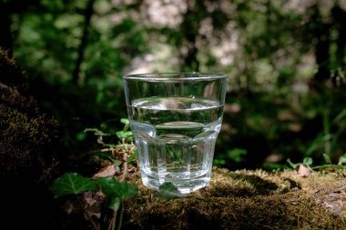 Bir bardak temiz su, doğada. Sağlıklı yaşam kavramı