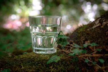 Bir bardak temiz su, doğada. Sağlıklı bir yaşam tarzı kavramı