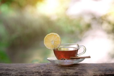 ormanda çay ile cam fincan, güneş ışığı ormanında