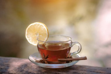 ormanda çay ile cam fincan, güneş ışığı ormanında