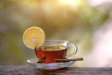 ormanda çay ile cam fincan, güneş ışığı ormanında