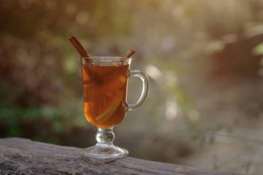 ormanda çay ile cam fincan, güneş ışığı ormanında