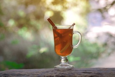 ormanda çay ile cam fincan, güneş ışığı ormanında