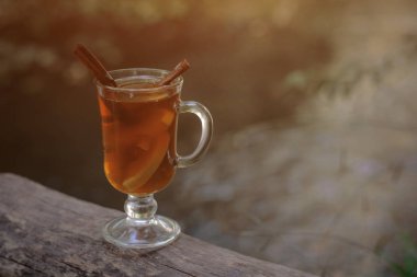 ormanda çay ile cam fincan, güneş ışığı ormanında